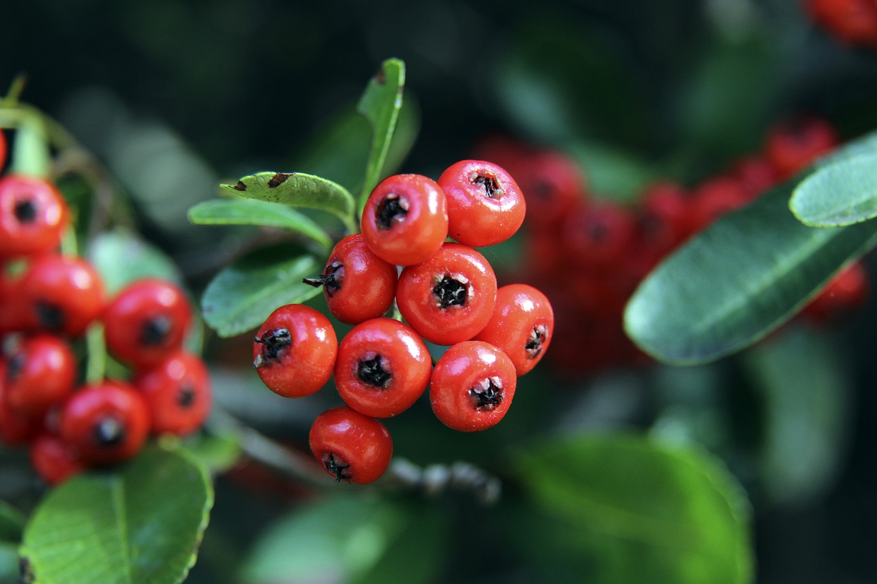 援选择上的 援选择上的