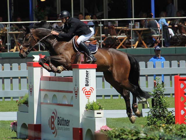 比赛风格和 比赛风格和