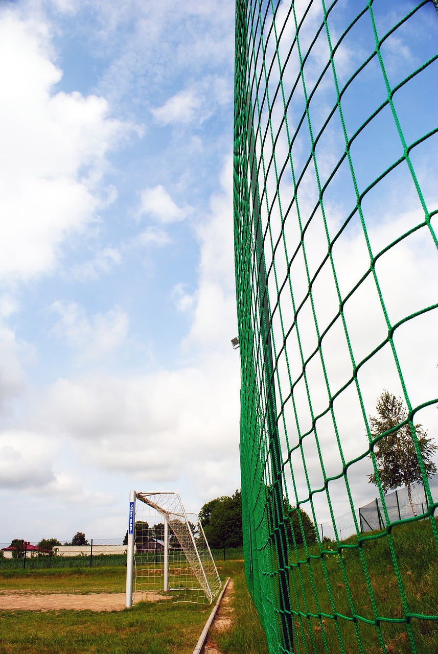 理念为何饱 理念为何饱