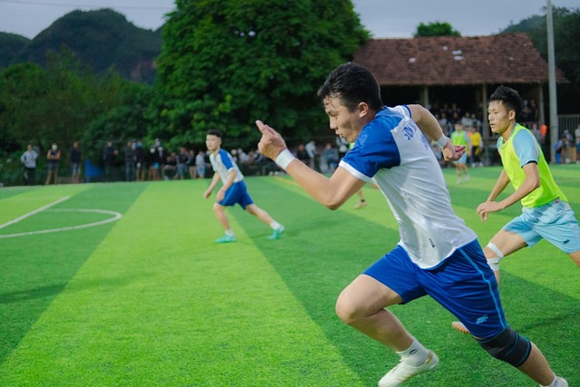 不仅能与大 不仅能与大