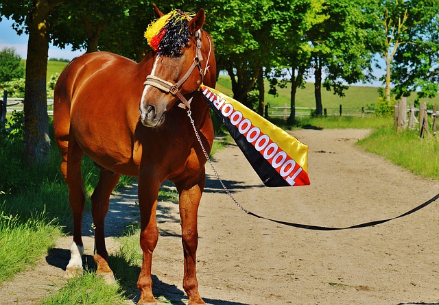 目标勾画出 目标勾画出