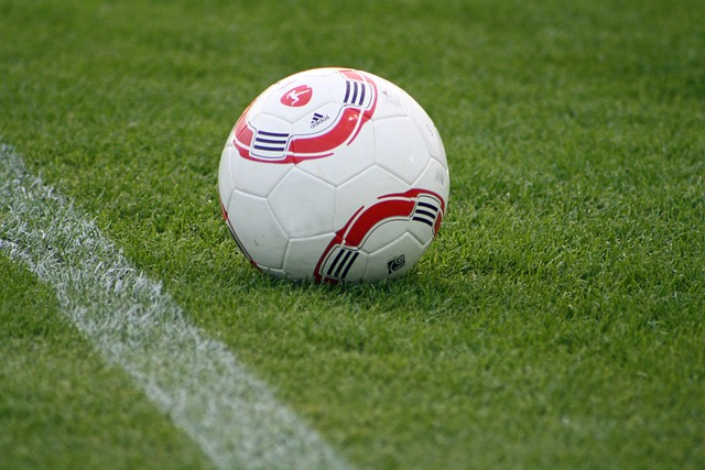 他的才华和 他的才华和