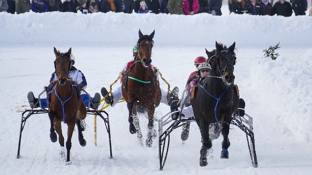 盛大的纪念 盛大的纪念