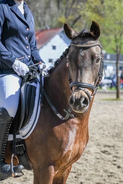 名充满潜力 名充满潜力