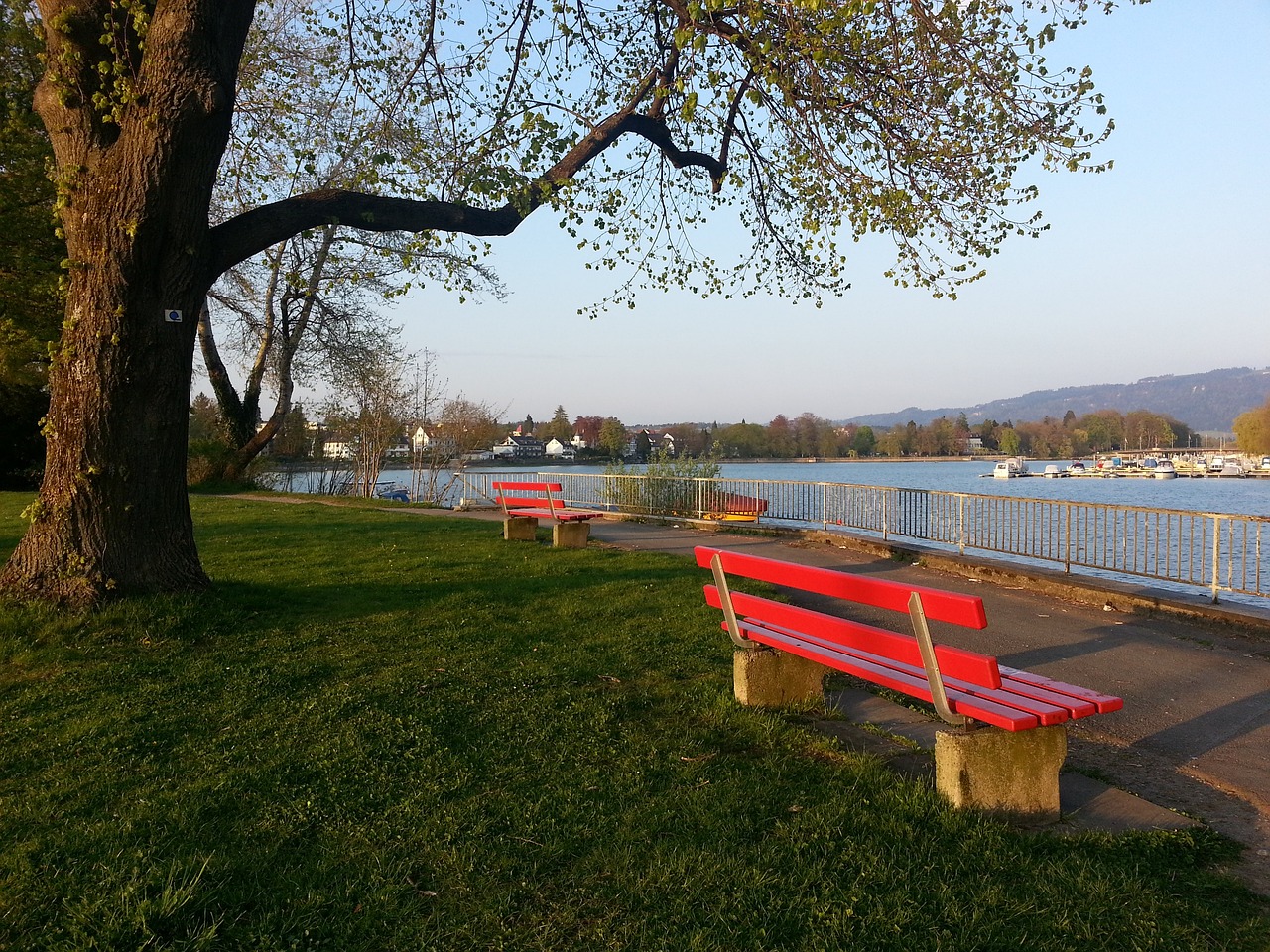 球迷铭记 球迷铭记