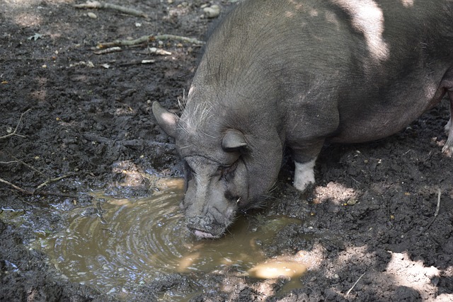以跑步的方 以跑步的方