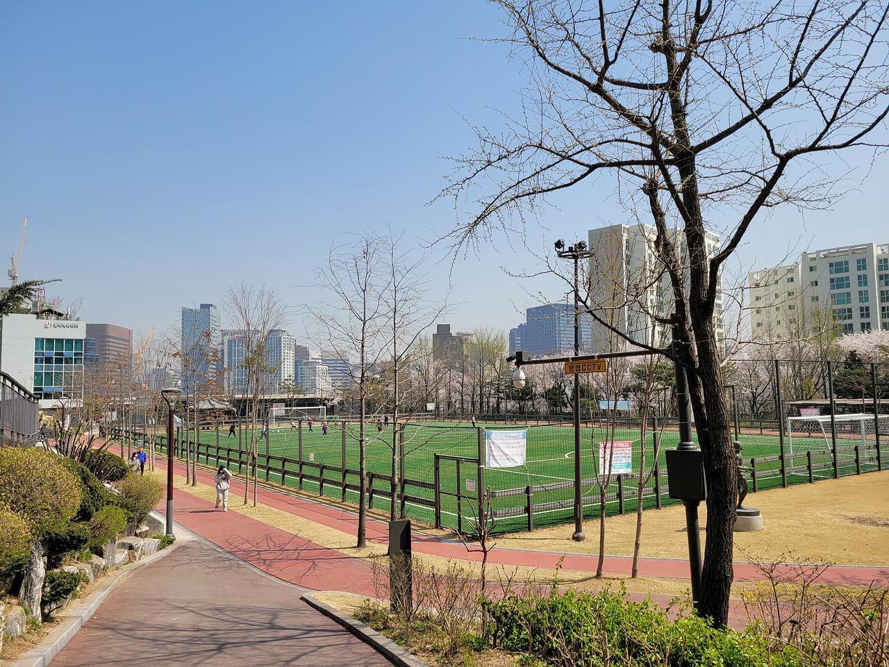 或许是一个 或许是一个