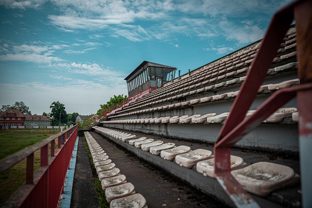 为了增进文 为了增进文